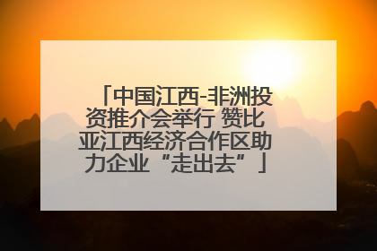 中国江西-非洲投资推介会举行 赞比亚江西经济合作区助力企业“走出去”