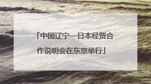 中国辽宁—日本经贸合作说明会在东京举行