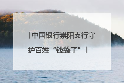 中国银行崇阳支行守护百姓“钱袋子”
