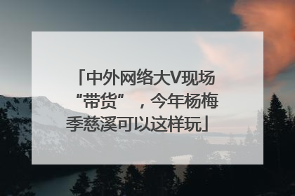 中外网络大V现场“带货”，今年杨梅季慈溪可以这样玩