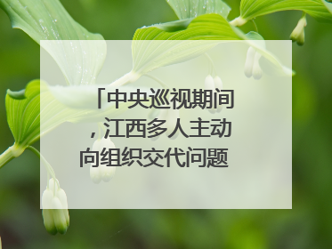 中央巡视期间，江西多人主动向组织交代问题｜打虎拍蝇
