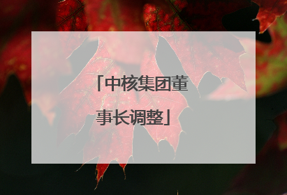中核集团董事长调整