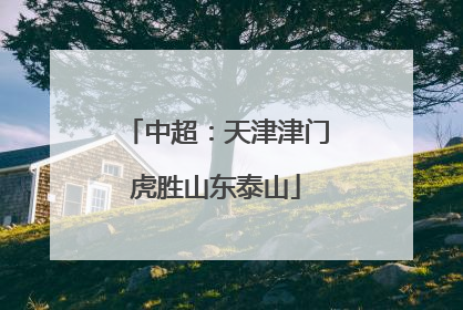 中超：天津津门虎胜山东泰山