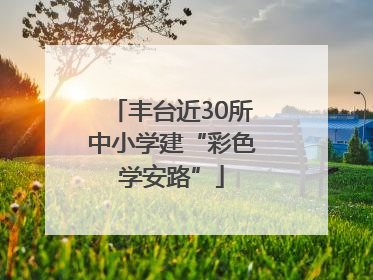 丰台近30所中小学建“彩色学安路”