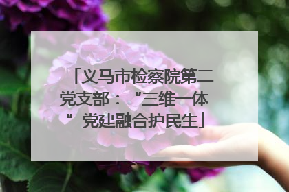 义马市检察院第二党支部：“三维一体”党建融合护民生