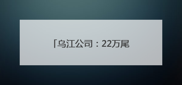 乌江公司：22万尾鱼苗在乌江“安家”