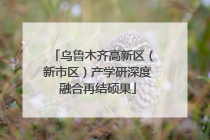 乌鲁木齐高新区（新市区）产学研深度融合再结硕果
