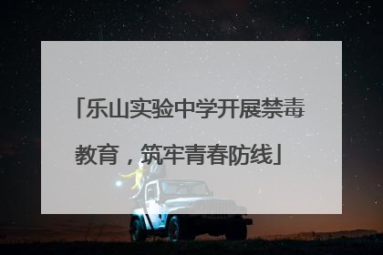 乐山实验中学开展禁毒教育，筑牢青春防线