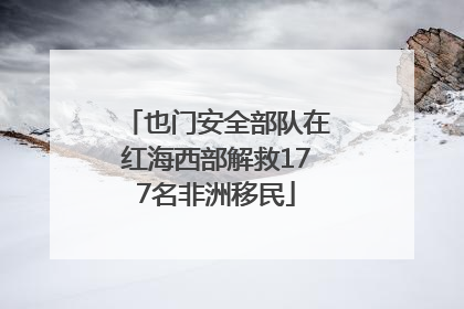 也门安全部队在红海西部解救177名非洲移民