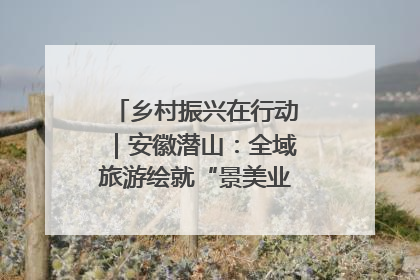 乡村振兴在行动｜安徽潜山：全域旅游绘就“景美业兴民富”新画卷