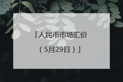 人民币市场汇价（5月29日）