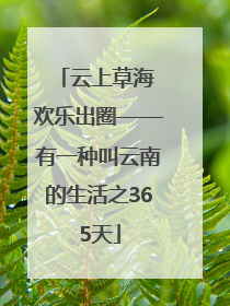 云上草海 欢乐出圈——有一种叫云南的生活之365天