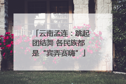 云南孟连：跳起团结舞 各民族都是“宾弄赛嗨”
