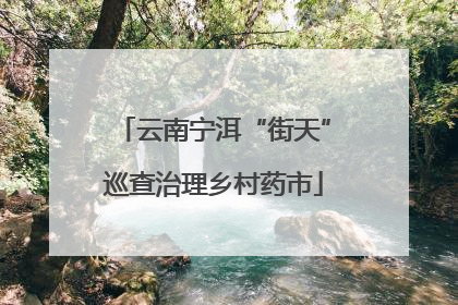 云南宁洱“街天”巡查治理乡村药市