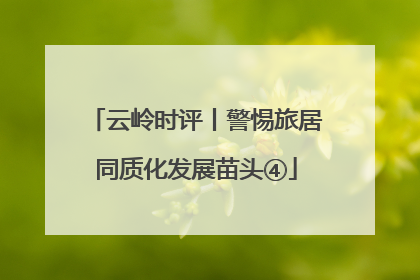 云岭时评丨警惕旅居同质化发展苗头④