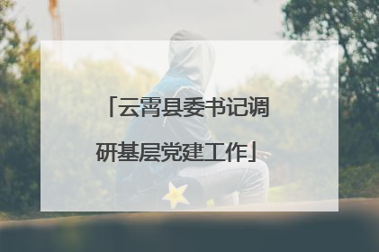 云霄县委书记调研基层党建工作