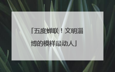 五度蝉联！文明淄博的模样最动人