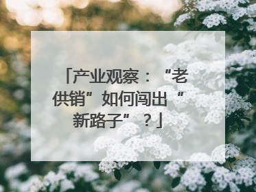 产业观察：“老供销”如何闯出“新路子”？