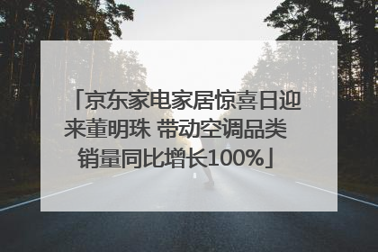 京东家电家居惊喜日迎来董明珠 带动空调品类销量同比增长100%
