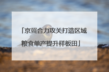 京冀合力攻关打造区域粮食单产提升样板田