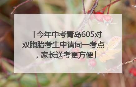 今年中考青岛605对双胞胎考生申请同一考点，家长送考更方便