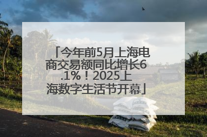 今年前5月上海电商交易额同比增长6.1%！2025上海数字生活节开幕