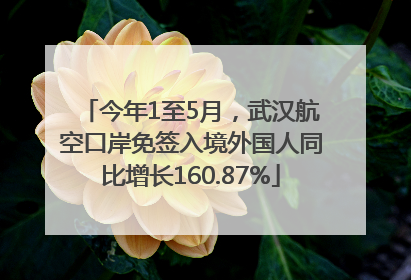 今年1至5月，武汉航空口岸免签入境外国人同比增长160.87%