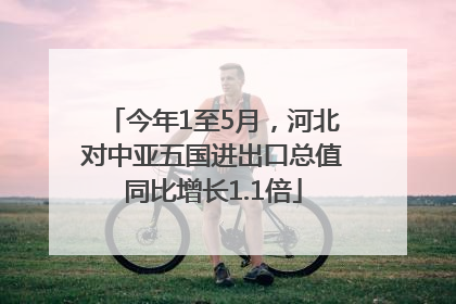 今年1至5月，河北对中亚五国进出口总值同比增长1.1倍