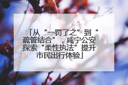从“一罚了之”到“疏管结合”，咸宁公安探索“柔性执法”提升市民出行体验