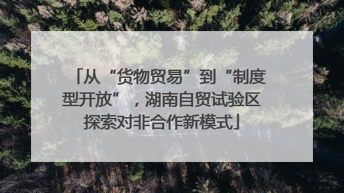 从“货物贸易”到“制度型开放”，湖南自贸试验区探索对非合作新模式