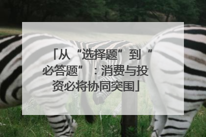 从“选择题”到“必答题”：消费与投资必将协同突围