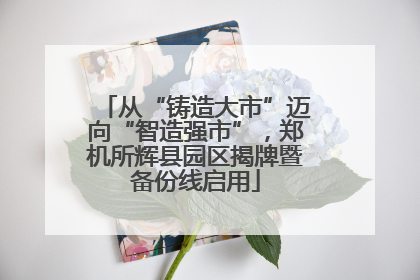 从“铸造大市”迈向“智造强市”，郑机所辉县园区揭牌暨备份线启用
