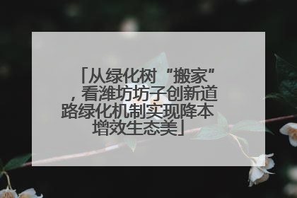 从绿化树“搬家”，看潍坊坊子创新道路绿化机制实现降本增效生态美