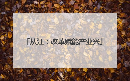 从江：改革赋能产业兴