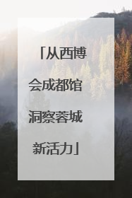 从西博会成都馆洞察蓉城新活力