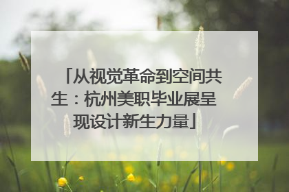 从视觉革命到空间共生:杭州美职毕业展呈现设计新生力量