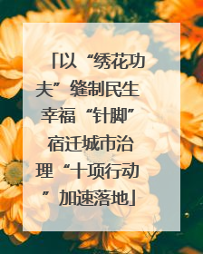 以“绣花功夫”缝制民生幸福“针脚” 宿迁城市治理“十项行动”加速落地