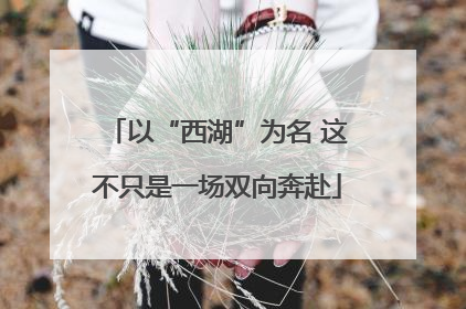 以“西湖”为名 这不只是一场双向奔赴
