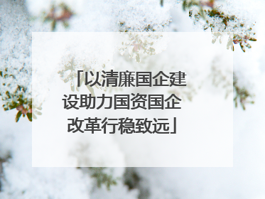 以清廉国企建设助力国资国企改革行稳致远