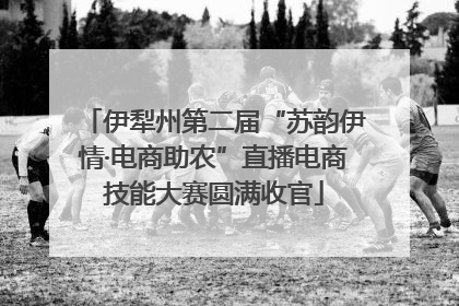 伊犁州第二届“苏韵伊情·电商助农”直播电商技能大赛圆满收官