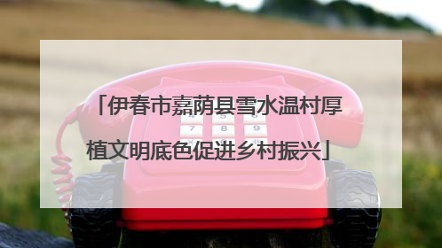 伊春市嘉荫县雪水温村厚植文明底色促进乡村振兴