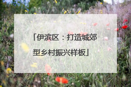 伊滨区：打造城郊型乡村振兴样板