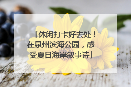 休闲打卡好去处！在泉州滨海公园，感受夏日海岸叙事诗