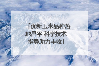 优新玉米品种落地昌平 科学技术指导助力丰收