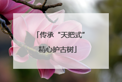 传承“天把式” 精心护古树