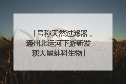 号称天然过滤器，通州北运河下游新发现大量蚌科生物