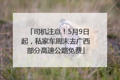 司机注意！5月9日起，私家车周末去广西部分高速公路免费
