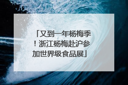 又到一年杨梅季！浙江杨梅赴沪参加世界级食品展
