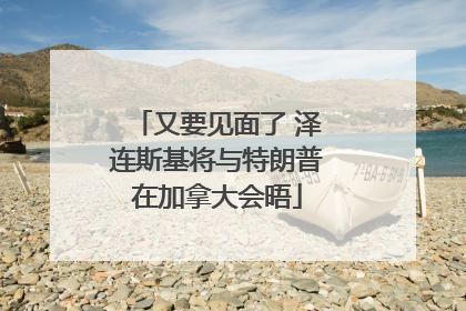 又要见面了 泽连斯基将与特朗普在加拿大会晤