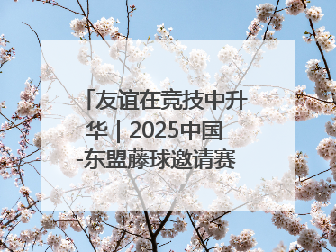 友谊在竞技中升华｜2025中国-东盟藤球邀请赛开赛 贵州惠水燃动“空中芭蕾”